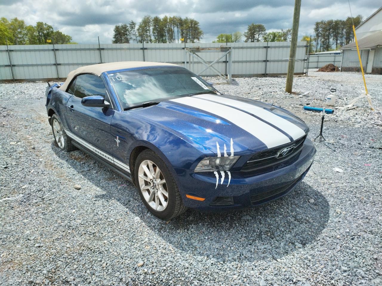 FORD MUSTANG 2011 with VIN 1ZVBP8EM4B5146287 - Photo from auction