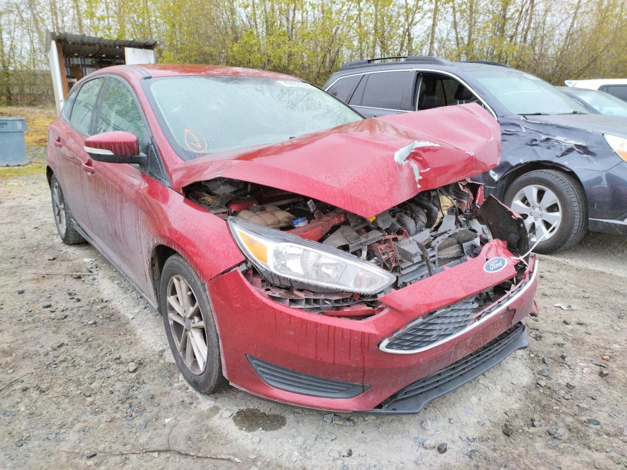 FORD FOCUS SE 2017 with VIN 1FADP3K2XHL211641 - Photo from auction