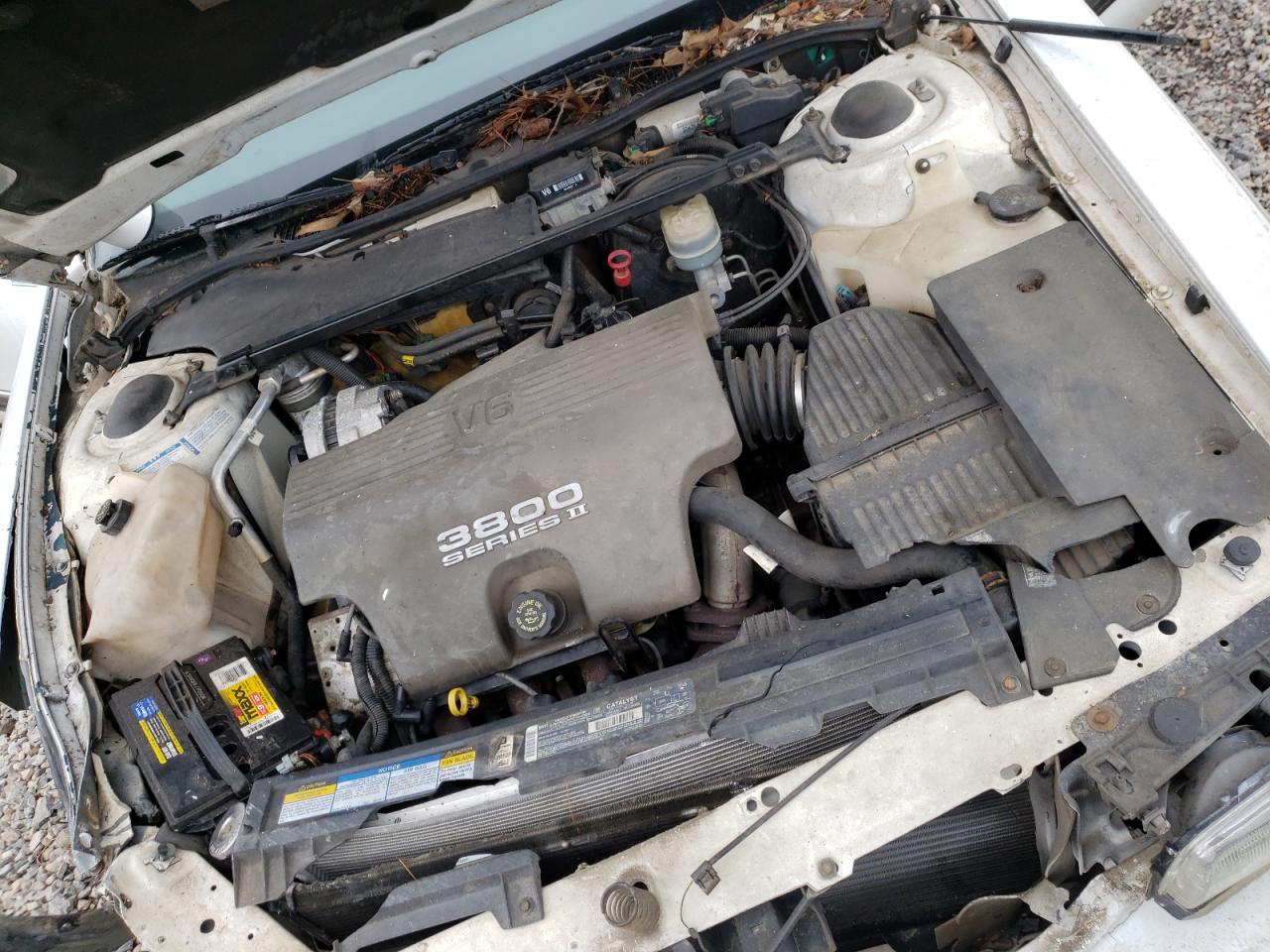Photo 7 from auction – 1996 BUICK LESABRE CU with VIN 1G4HP52K1TH407157