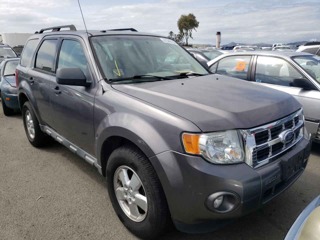 FORD ESCAPE XLT 2010 with VIN 1FMCU0D77AKA35175 - Photo from auction