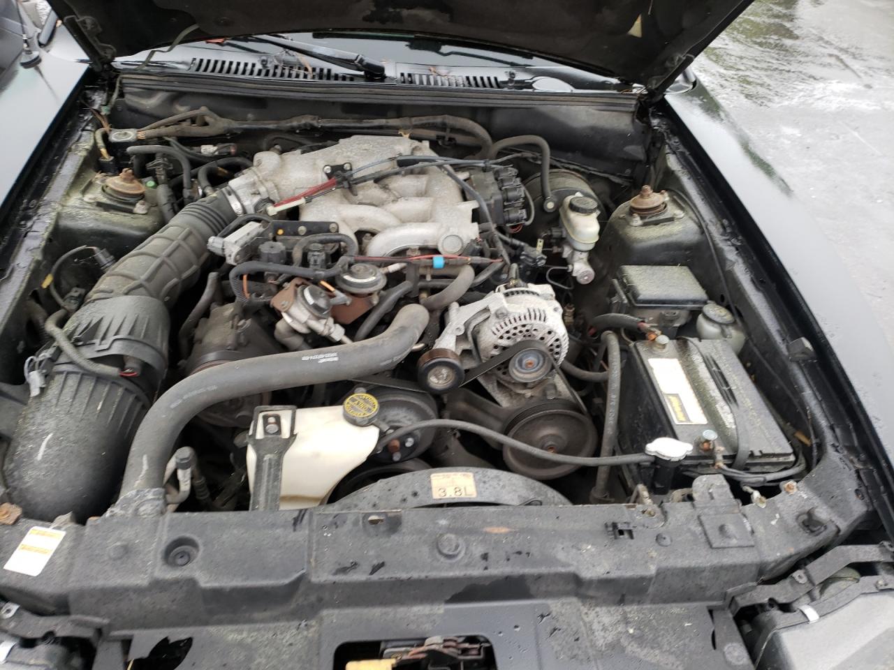 Photo 7 from auction – 2000 FORD MUSTANG with VIN 1FAFP4048YF150050