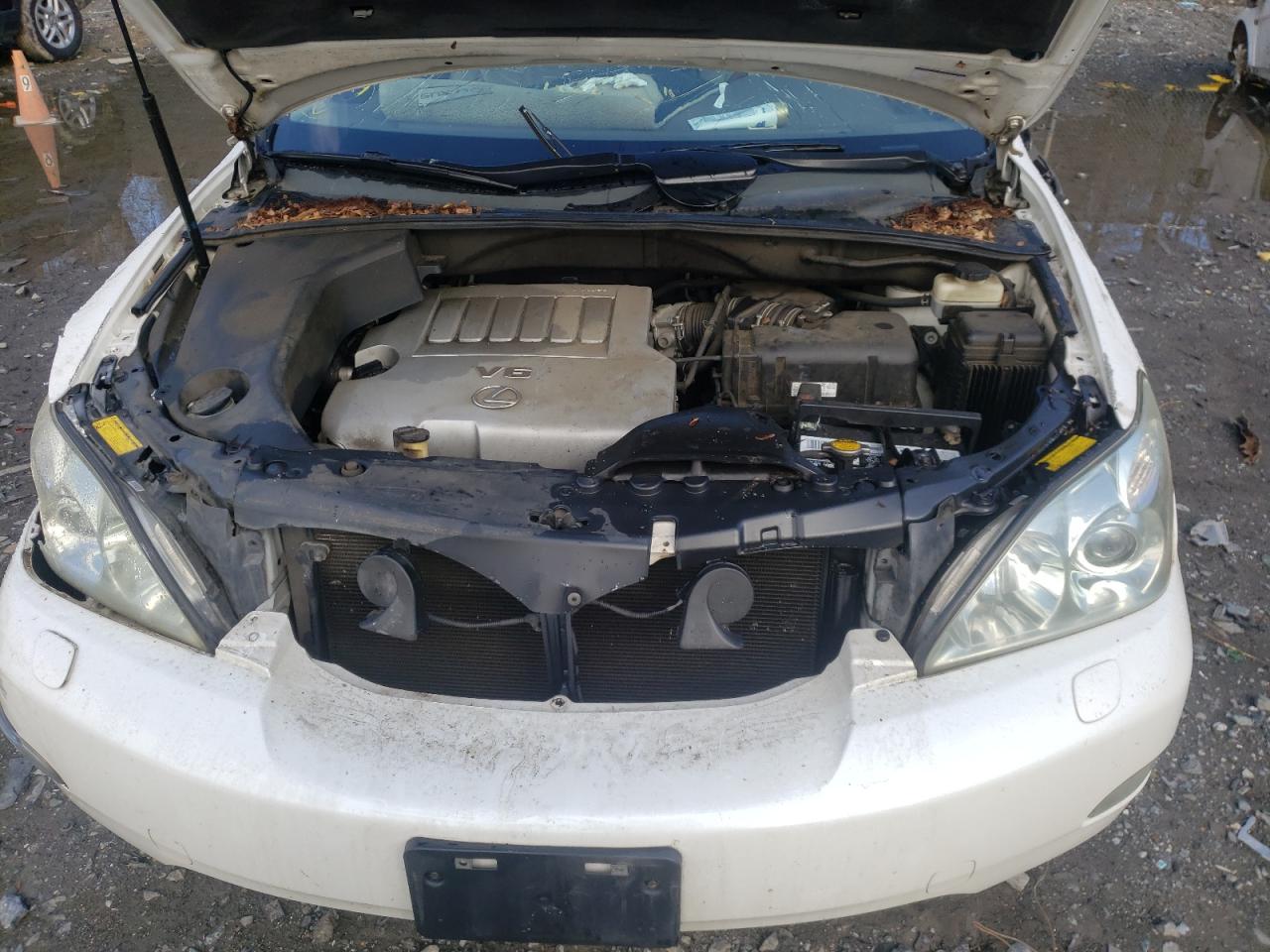 Photo 7 from auction – 2007 LEXUS RX 350 with VIN 2T2GK31U57C010420