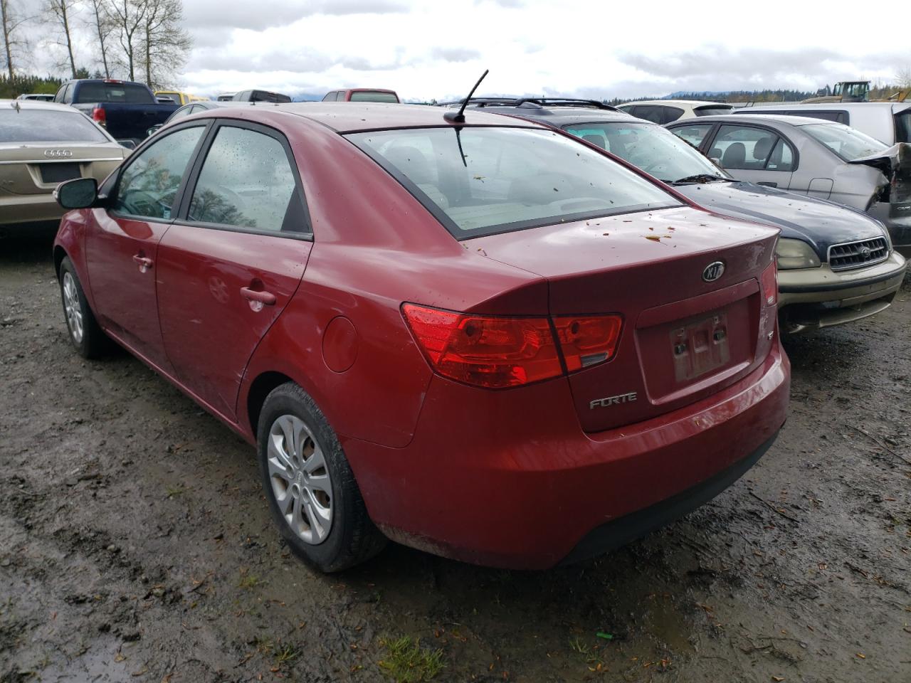 Photo 3 from auction – 2010 KIA FORTE EX with VIN KNAFU4A29A5208451