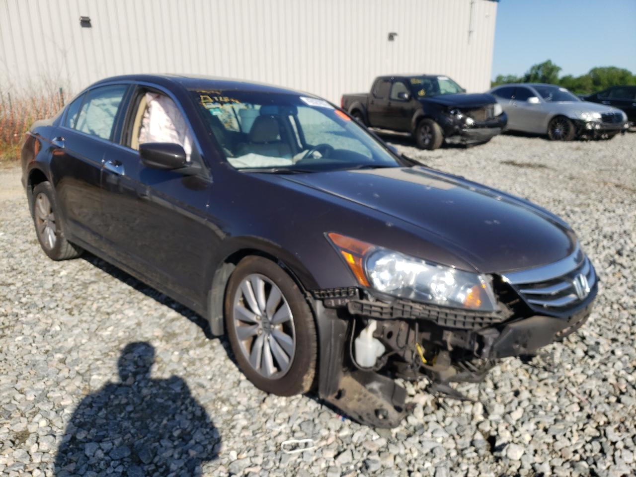 HONDA ACCORD EXL 2011 with VIN 1HGCP3F89BA010550 - Photo from auction