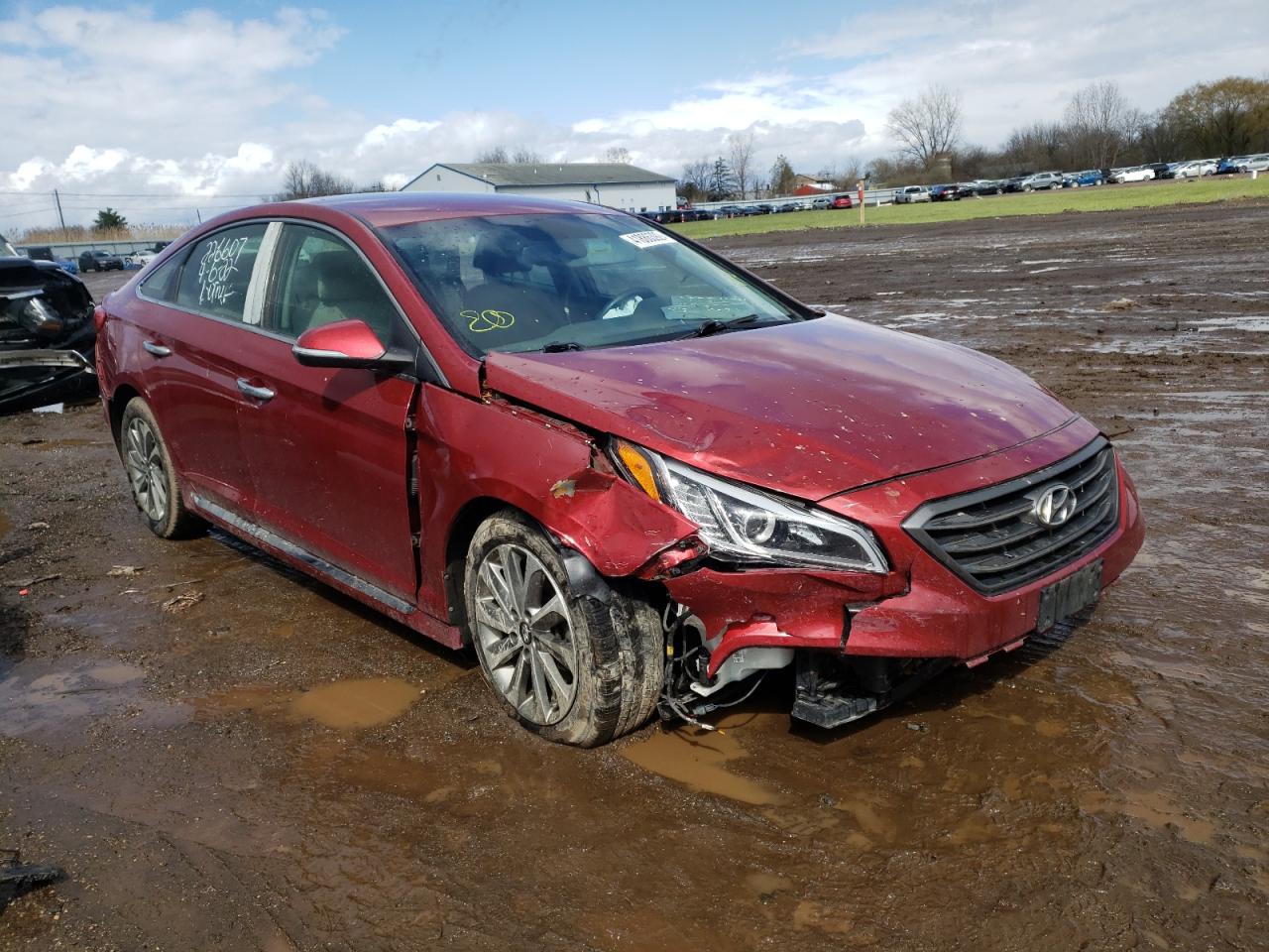 HYUNDAI SONATA SPO 2016 with VIN 5NPE34AF1GH287577 - Photo from auction