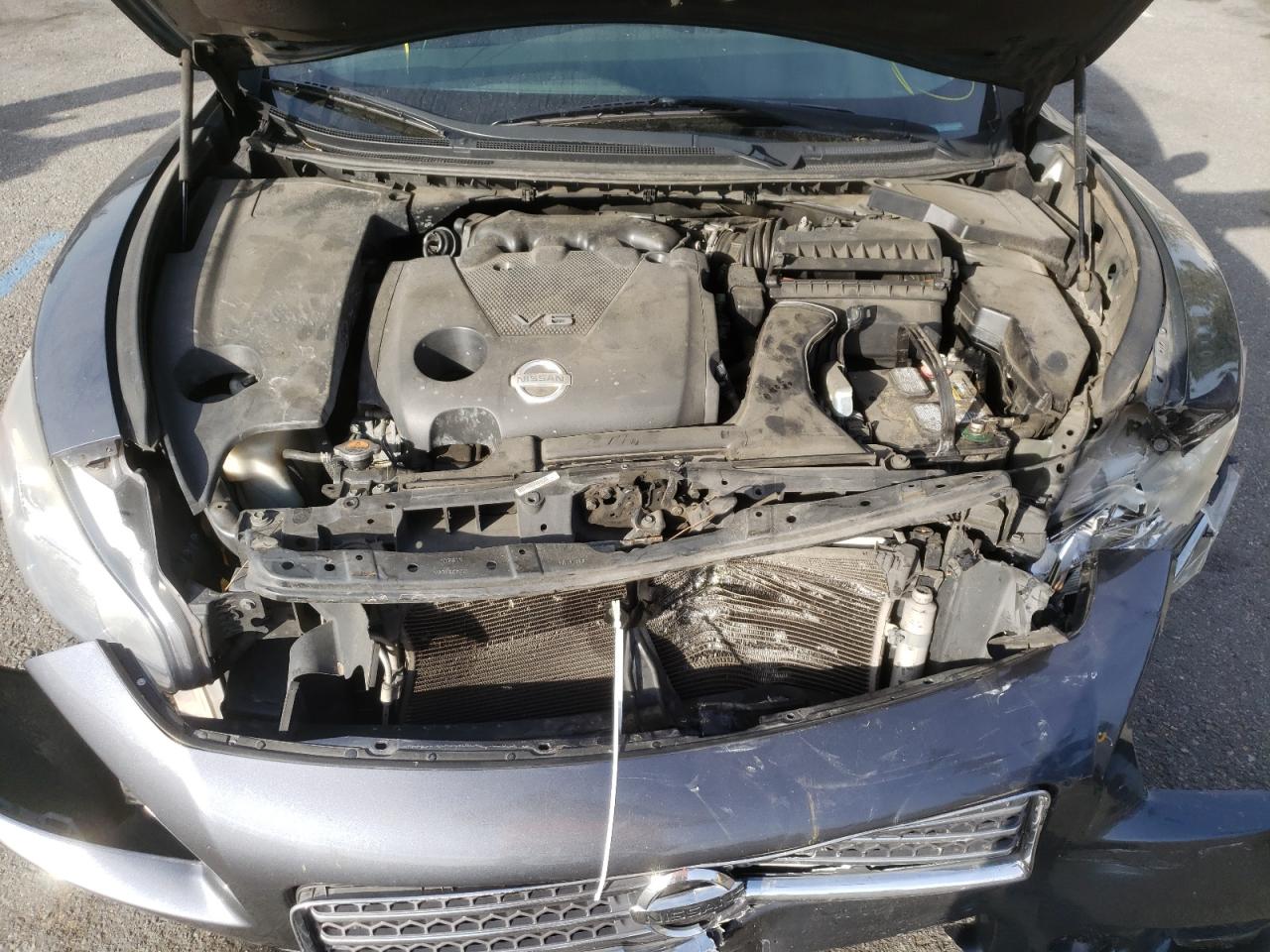 Photo 7 from auction – 2010 NISSAN MAXIMA S with VIN 1N4AA5APXAC838374