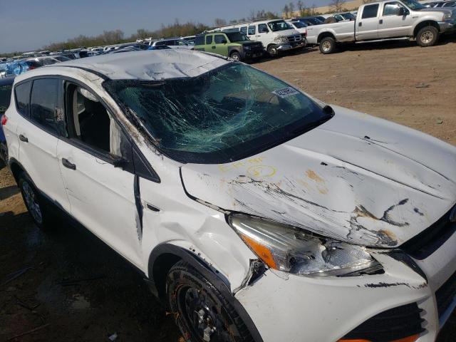 Photo 9 from auction – 2013 FORD ESCAPE S with VIN 1FMCU0F71DUB01872