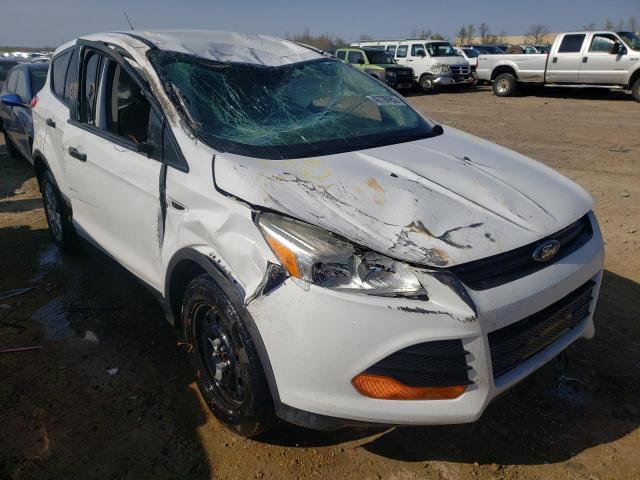 FORD ESCAPE S 2013 with VIN 1FMCU0F71DUB01872 - Photo from auction
