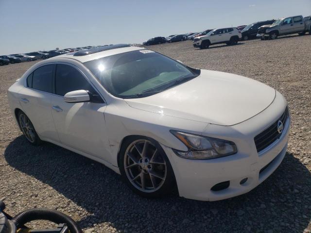 NISSAN MAXIMA S 2011 with VIN 1N4AA5AP3BC860217 - Photo from auction