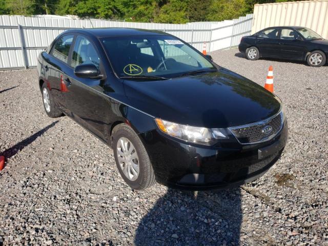 KIA FORTE EX 2011 with VIN KNAFU4A23B5437659 - Photo from auction