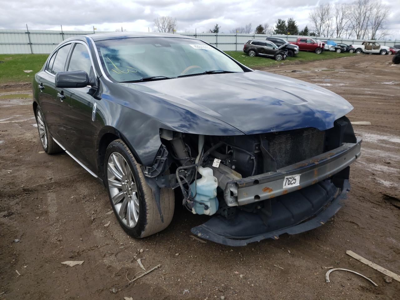 LINCOLN MKS 2010 with VIN 1LNHL9DR4AG611371 - Photo from auction