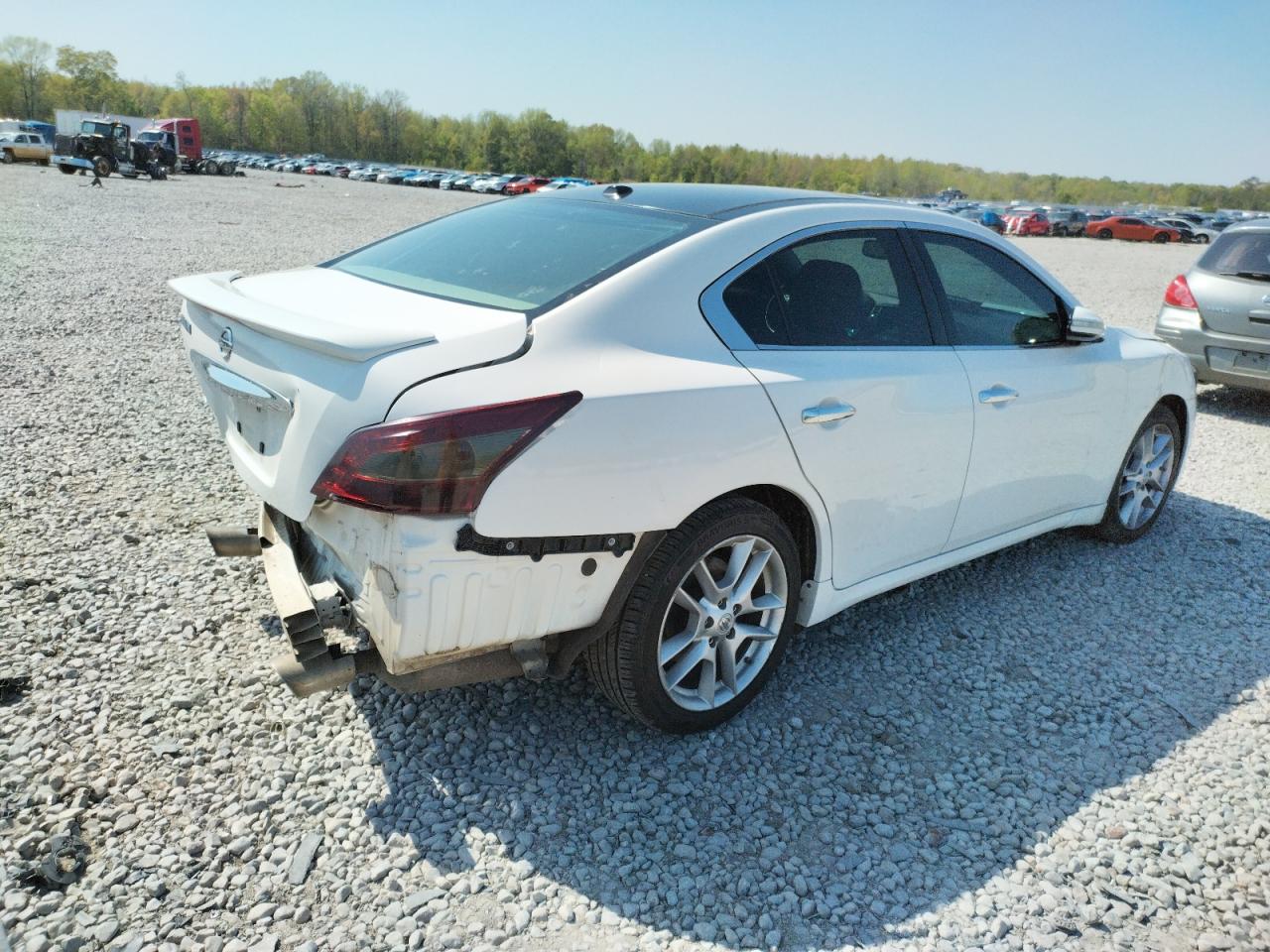 Photo 4 from auction – 2009 NISSAN MAXIMA S with VIN 1N4AA51E59C850779