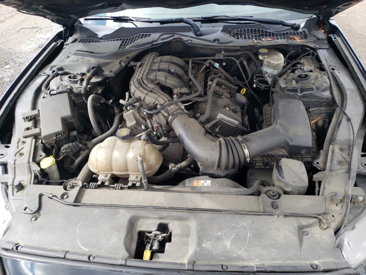 Photo 7 from auction – 2016 FORD MUSTANG with VIN 1FA6P8AM8G5219314