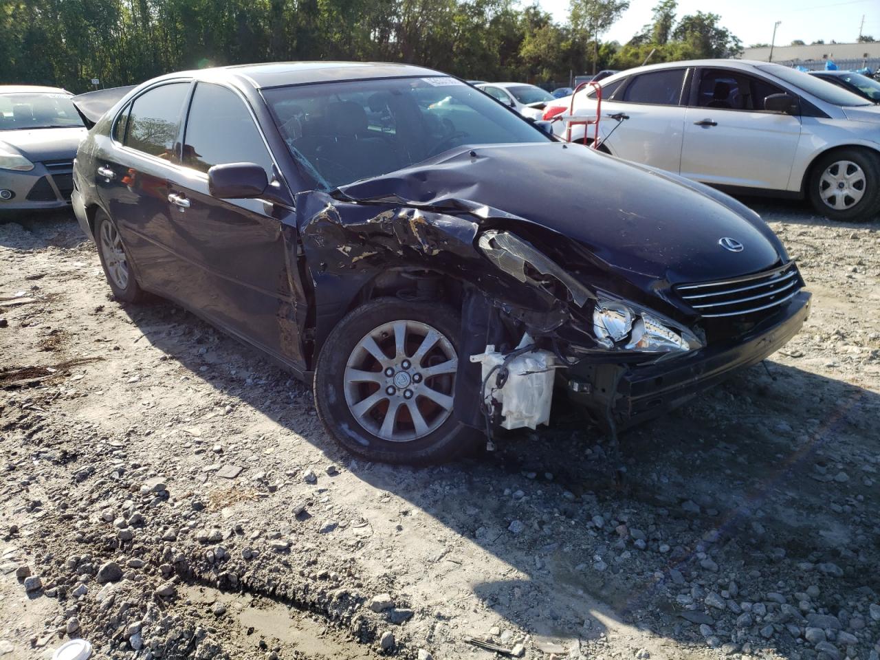 LEXUS ES 300 2002 with VIN JTHBF30G420036278 - Photo from auction