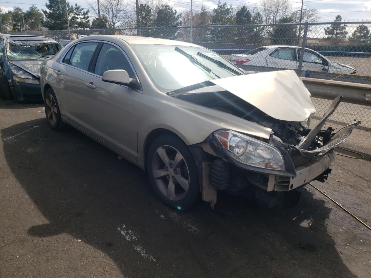 CHEVROLET MALIBU 1LT 2011 with VIN 1G1ZC5EU7BF342268 - Photo from auction