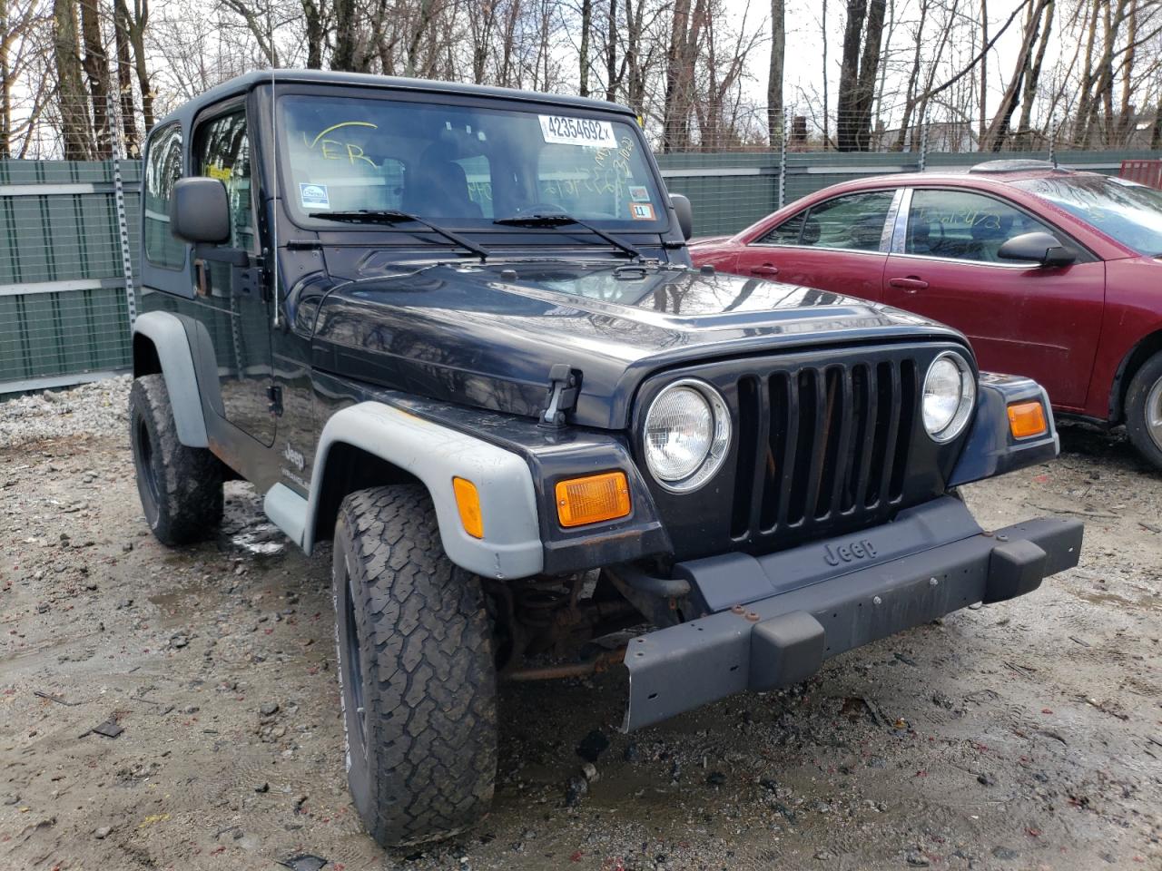 JEEP WRANGLER / 2003 with VIN 1J4FA29133P314181 - Photo from auction