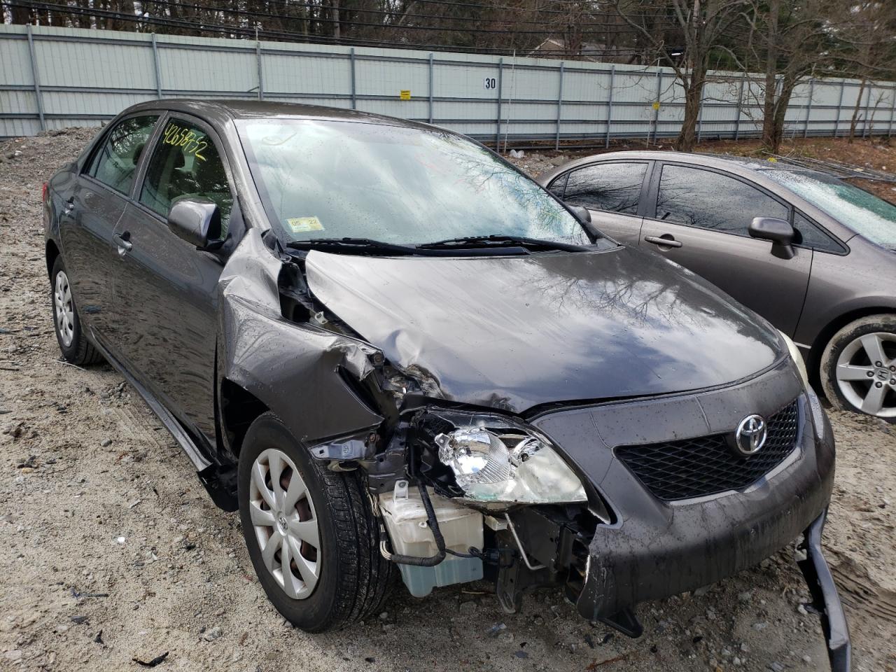 TOYOTA COROLLA BA 2009 with VIN JTDBL40E49J015594 - Photo from auction