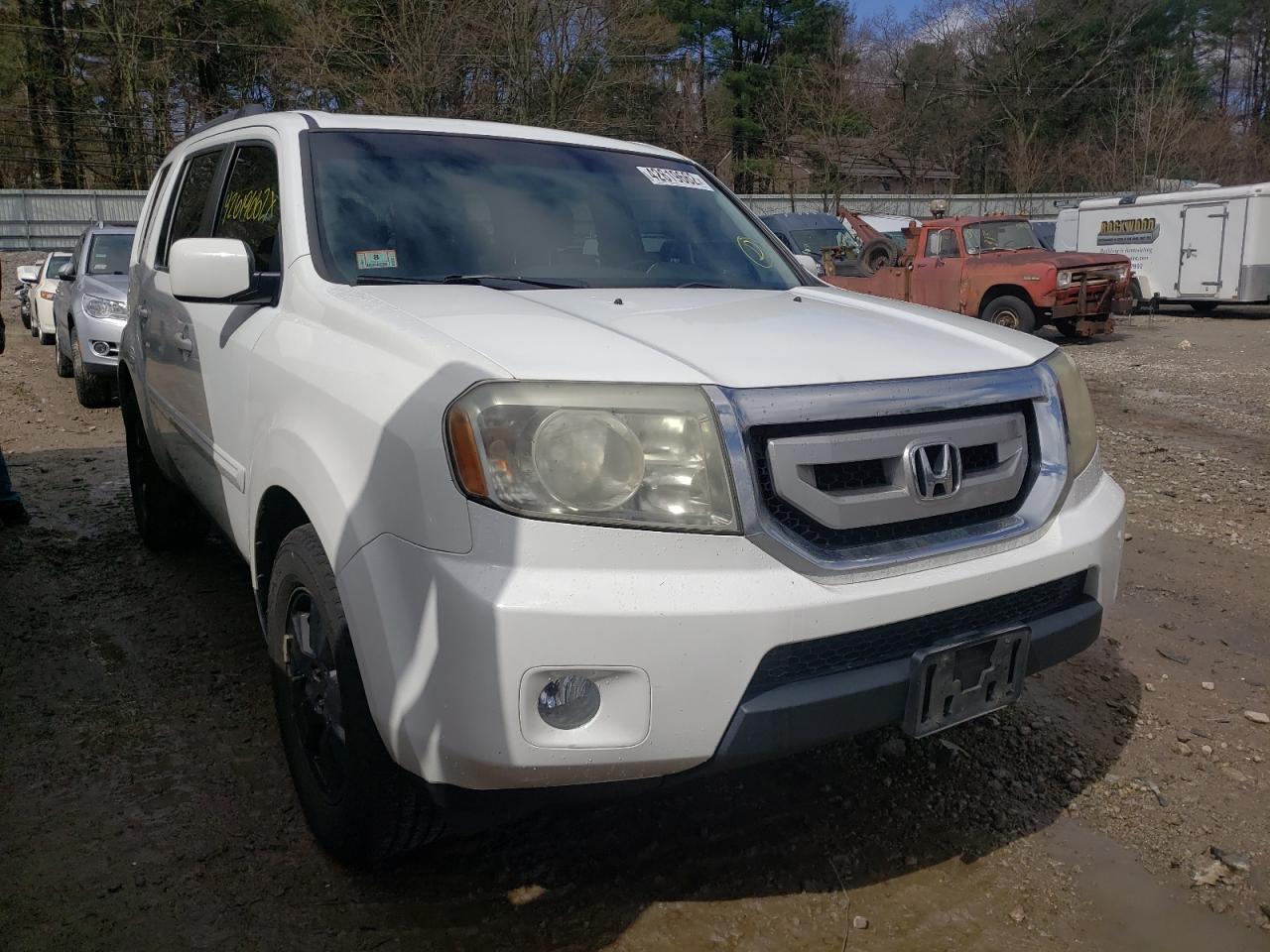 HONDA PILOT EXL 2011 with VIN 5FNYF4H58BB005931 - Photo from auction