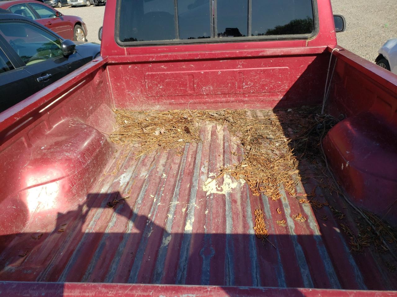 Photo 6 from auction – 1994 FORD F150 with VIN 1FTEF15N5RNA27953
