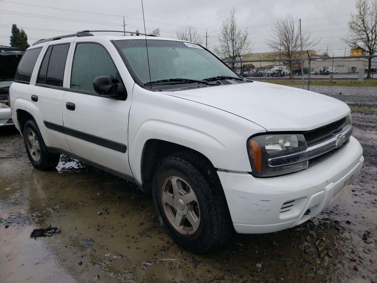 CHEVROLET TRAILBLAZE 2005 with VIN 1GNDT13S352294816 - Photo from auction