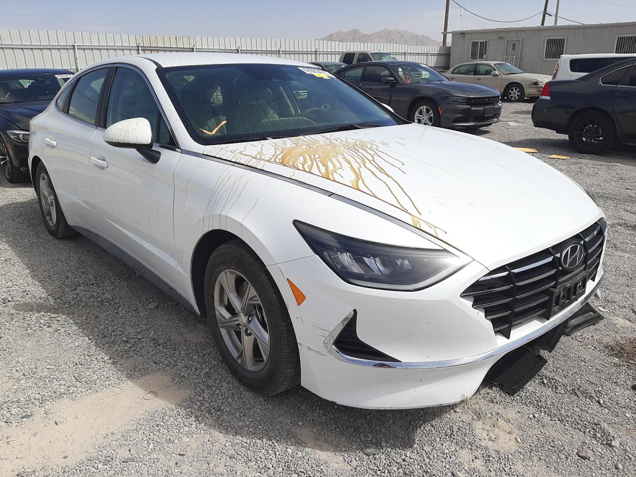 HYUNDAI SONATA SE 2021 with VIN 5NPEG4JA3MH122831 - Photo from auction
