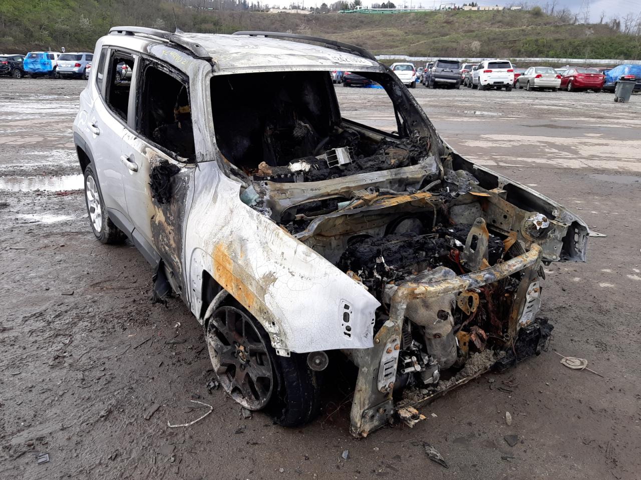 JEEP RENEGADE L 2017 with VIN ZACCJBBB7HPE82475 - Photo from auction