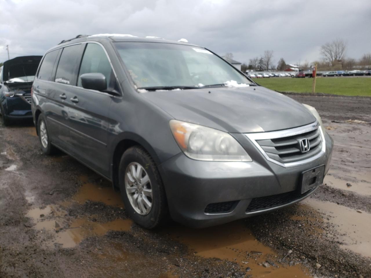 HONDA ODYSSEY EX 2008 with VIN 5FNRL38488B083813 - Photo from auction