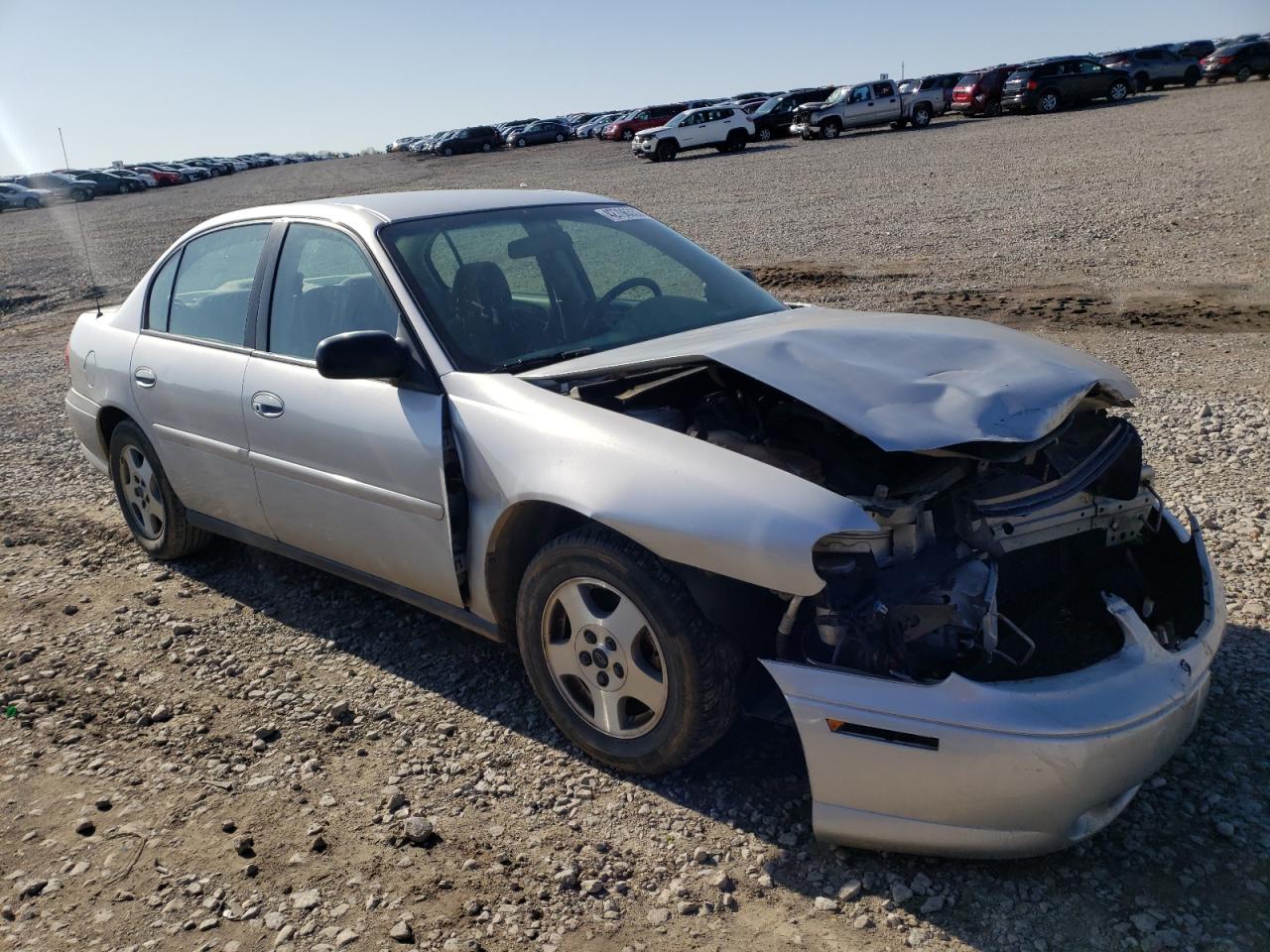 CHEVROLET MALIBU 2003 with VIN 1G1ND52J33M539375 - Photo from auction