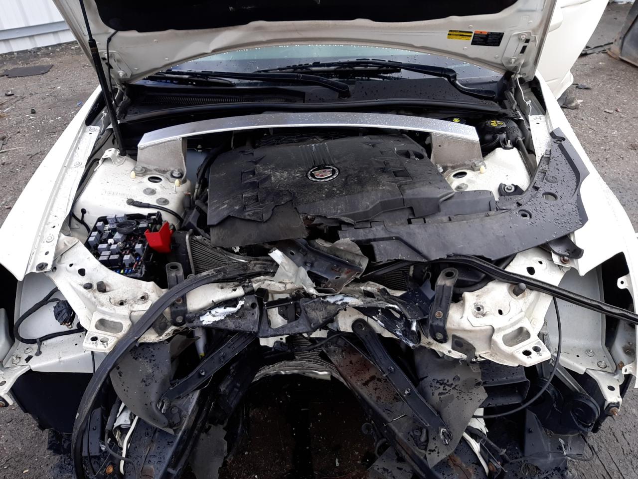 Photo 7 from auction – 2011 CADILLAC CTS LUXURY with VIN 1G6DG5EY5B0101629