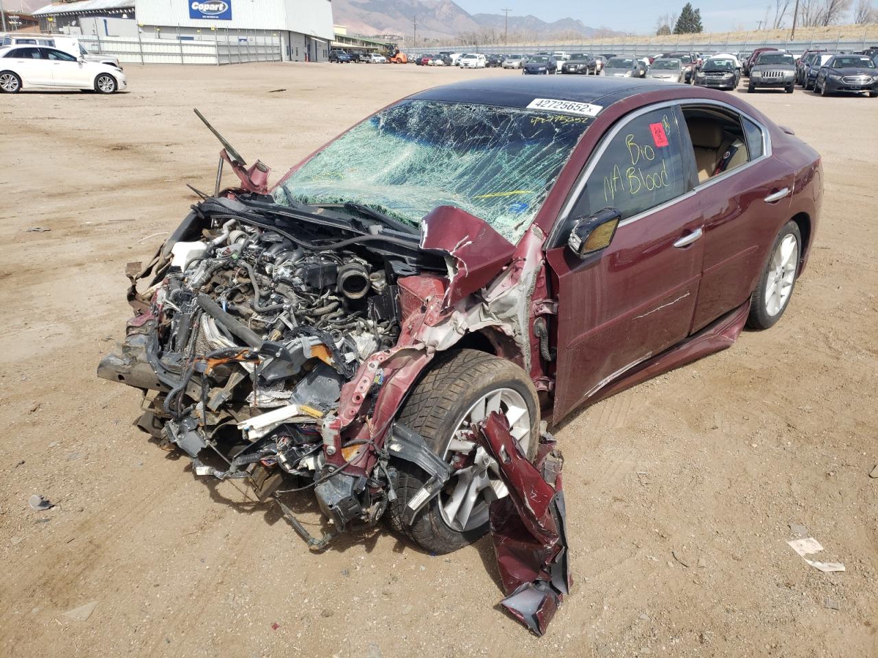Photo 2 from auction – 2010 NISSAN MAXIMA S with VIN 1N4AA5AP0AC813029