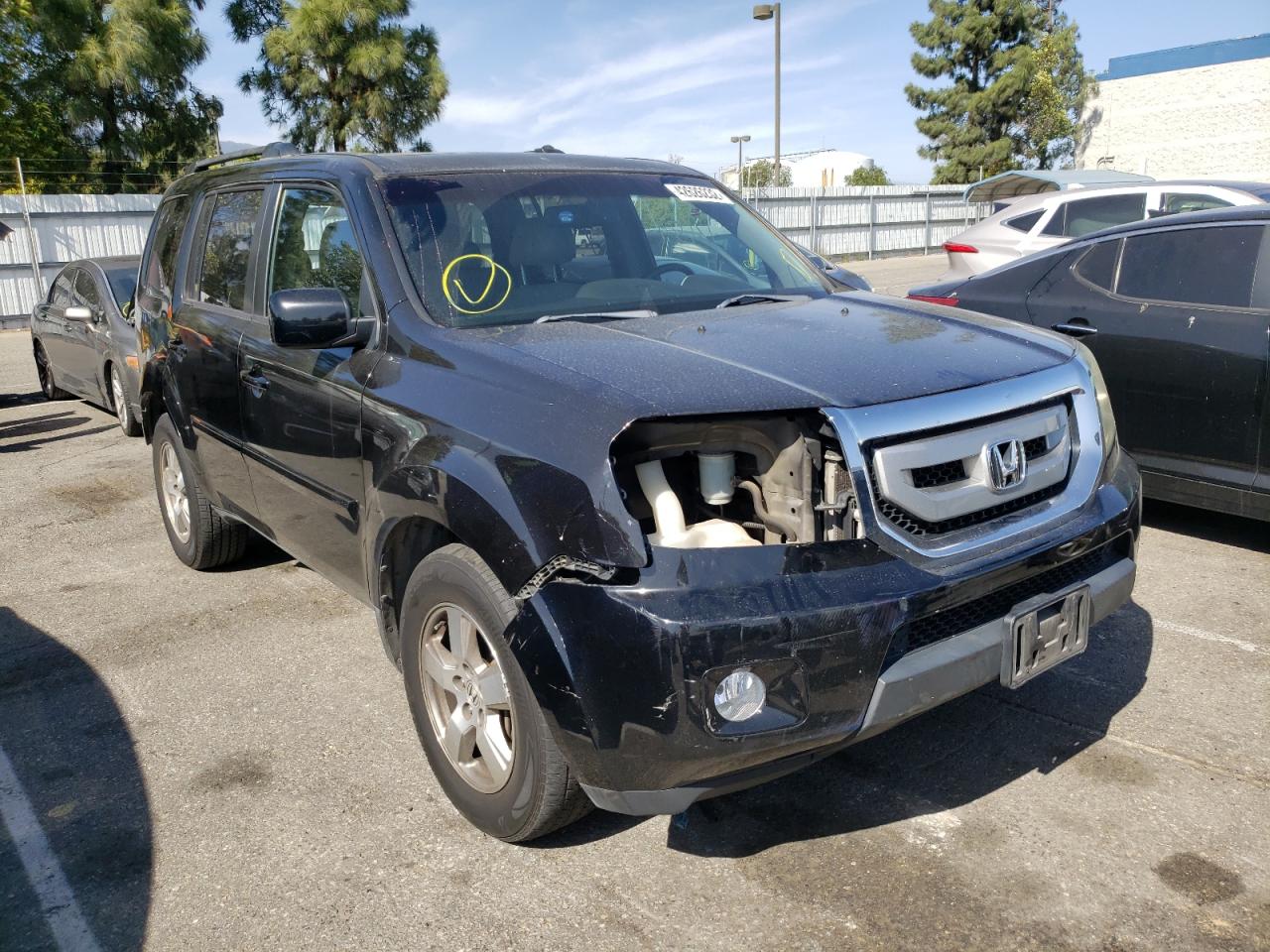 HONDA PILOT EXLN 2011 with VIN 5FNYF4H79BB086357 - Photo from auction