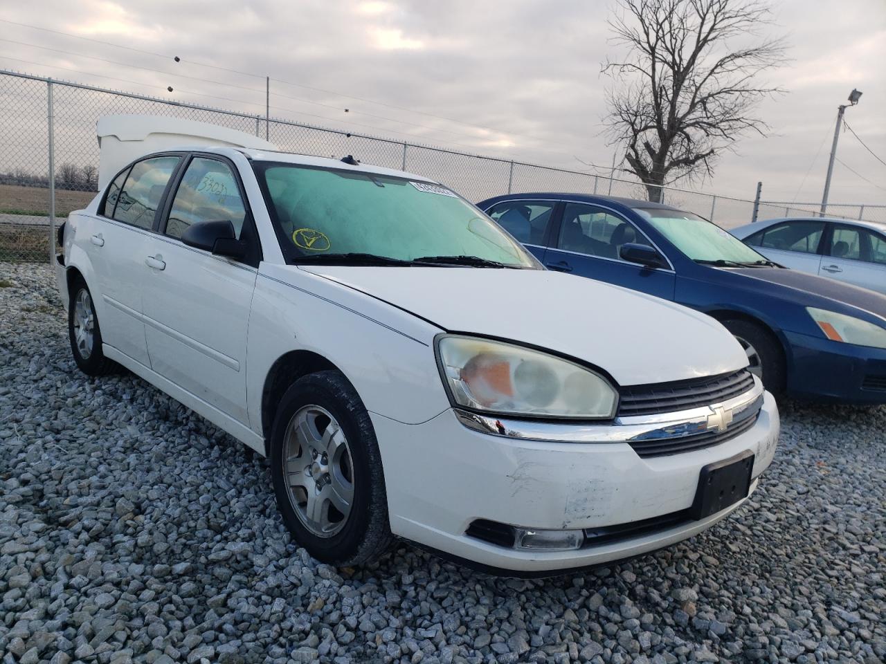 CHEVROLET MALIBU LT 2005 with VIN 1G1ZU54885F147883 - Photo from auction