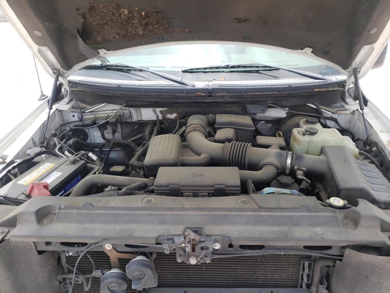 Photo 7 from auction – 2009 FORD F150 SUPER with VIN 1FTPW12V79FA09218