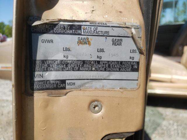Photo 10 from auction – 1983 DODGE 400 with VIN 1B3BV55G3DG148381