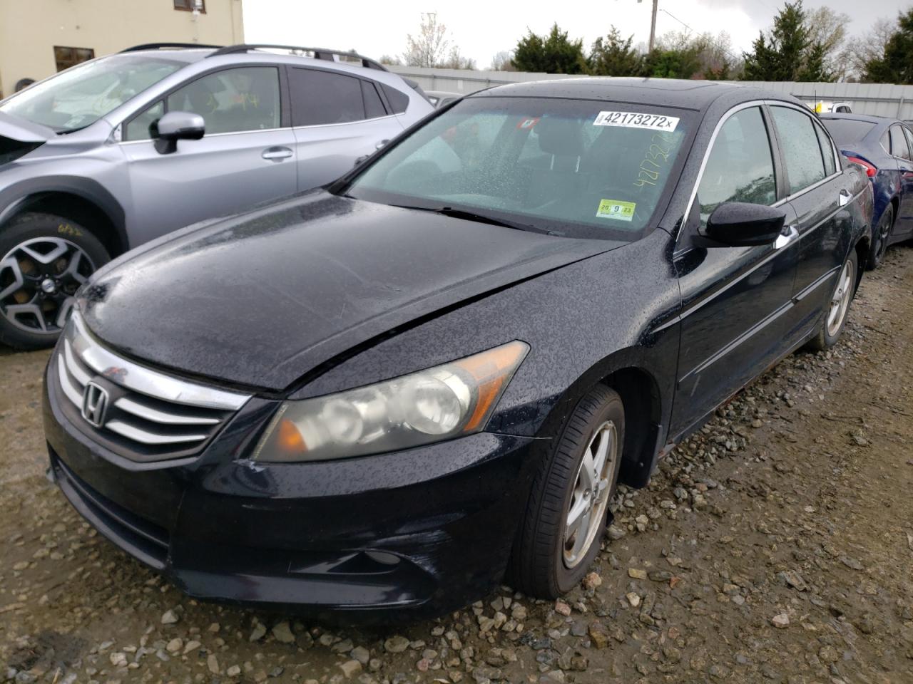 Zdjęcie 2 z aukcji – 2011 HONDA ACCORD z VIN 1HGCP3F85BA014191