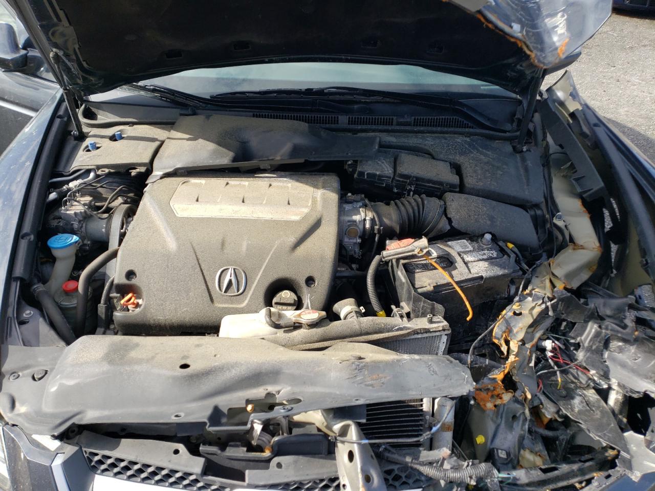 Photo 7 from auction – 2007 ACURA TL with VIN 19UUA66217A001593