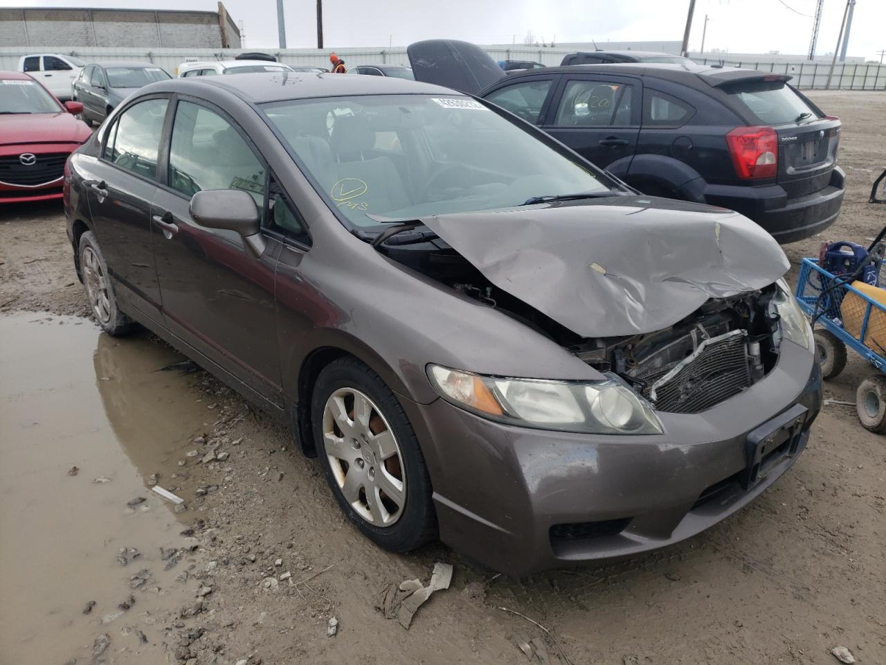 HONDA CIVIC LX 2010 with VIN 19XFA1F5XAE036660 - Photo from auction