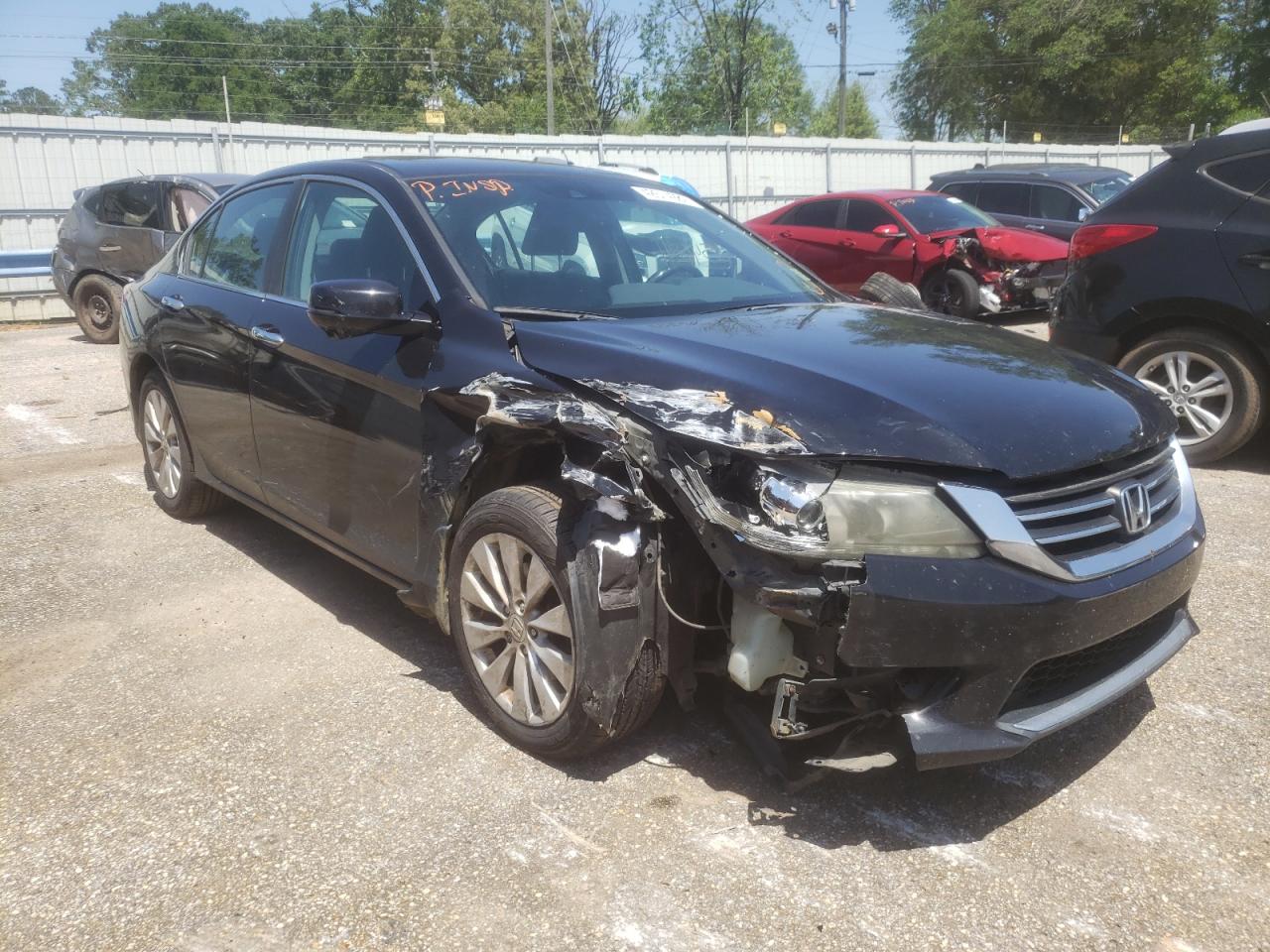 HONDA ACCORD EXL 2014 with VIN 1HGCR2F88EA029499 - Photo from auction