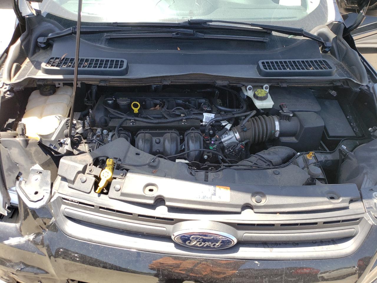 Photo 7 from auction – 2014 FORD ESCAPE S with VIN 1FMCU0F78EUA19493
