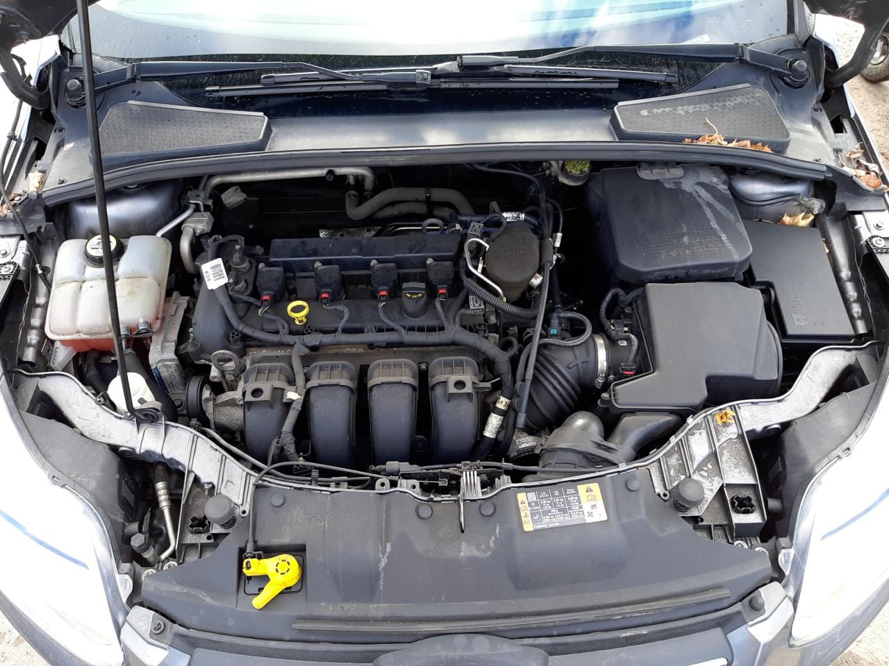 Photo 7 from auction – 2014 FORD FOCUS SE with VIN 1FADP3K23EL419016