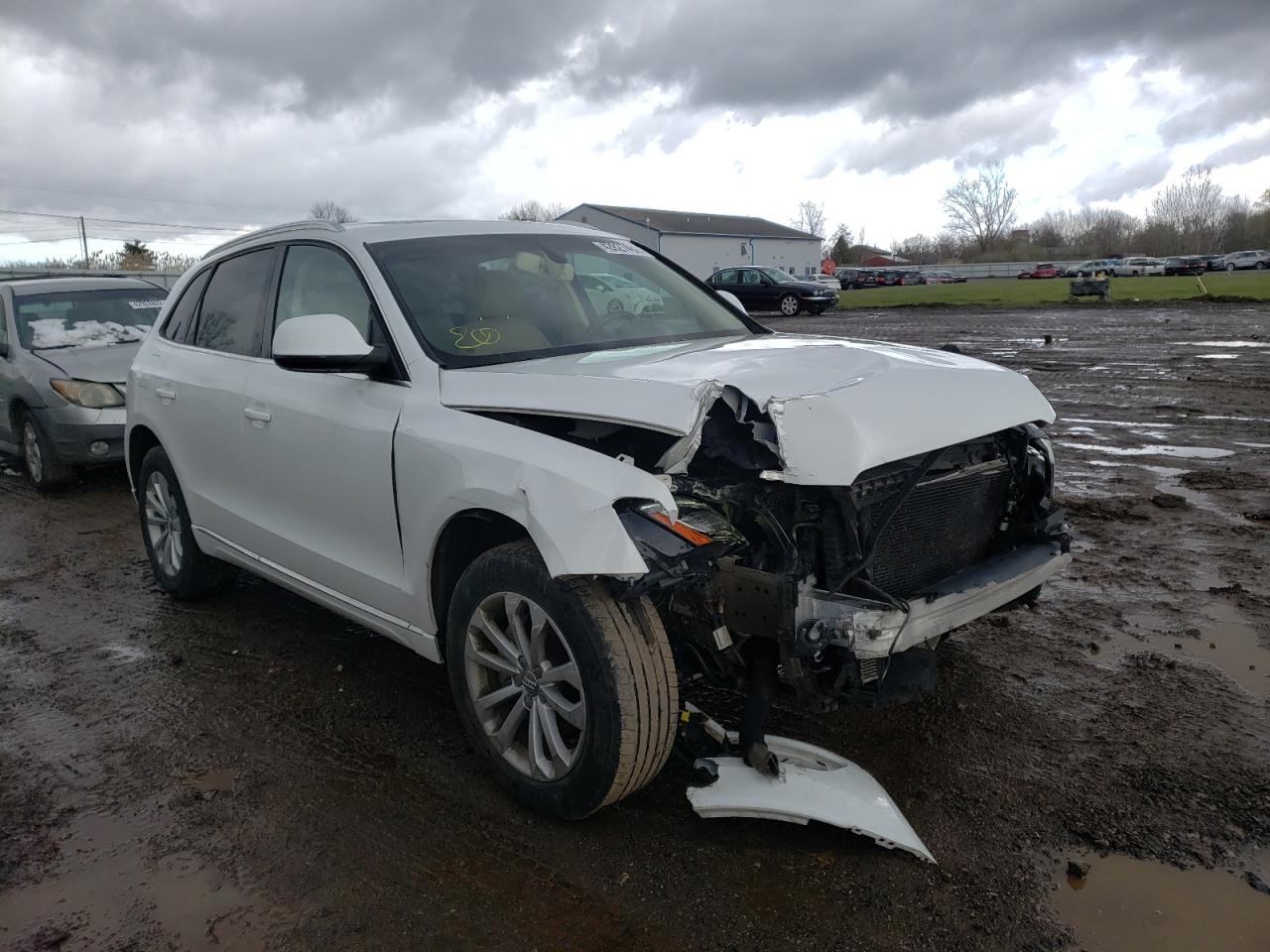 AUDI Q5 PREMIUM 2014 with VIN WA1LFAFP4EA091677 - Photo from auction