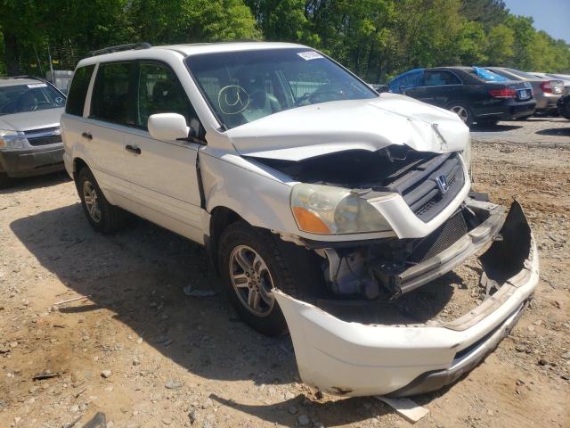 HONDA PILOT EXL 2005 with VIN 5FNYF18525B012988 - Photo from auction