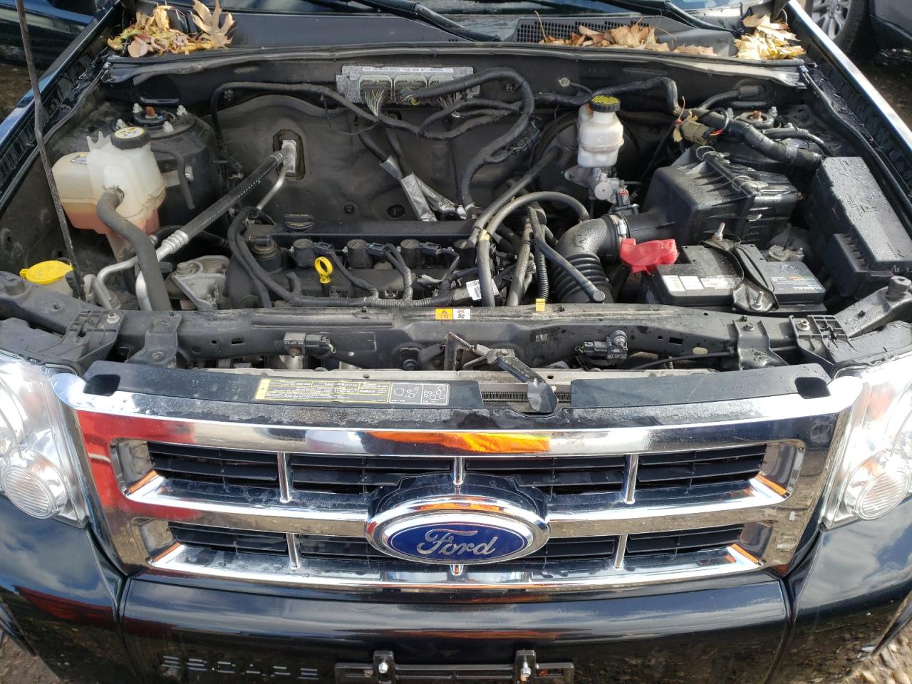 Photo 7 from auction – 2011 FORD ESCAPE XLT with VIN 1FMCU0D7XBKB02479
