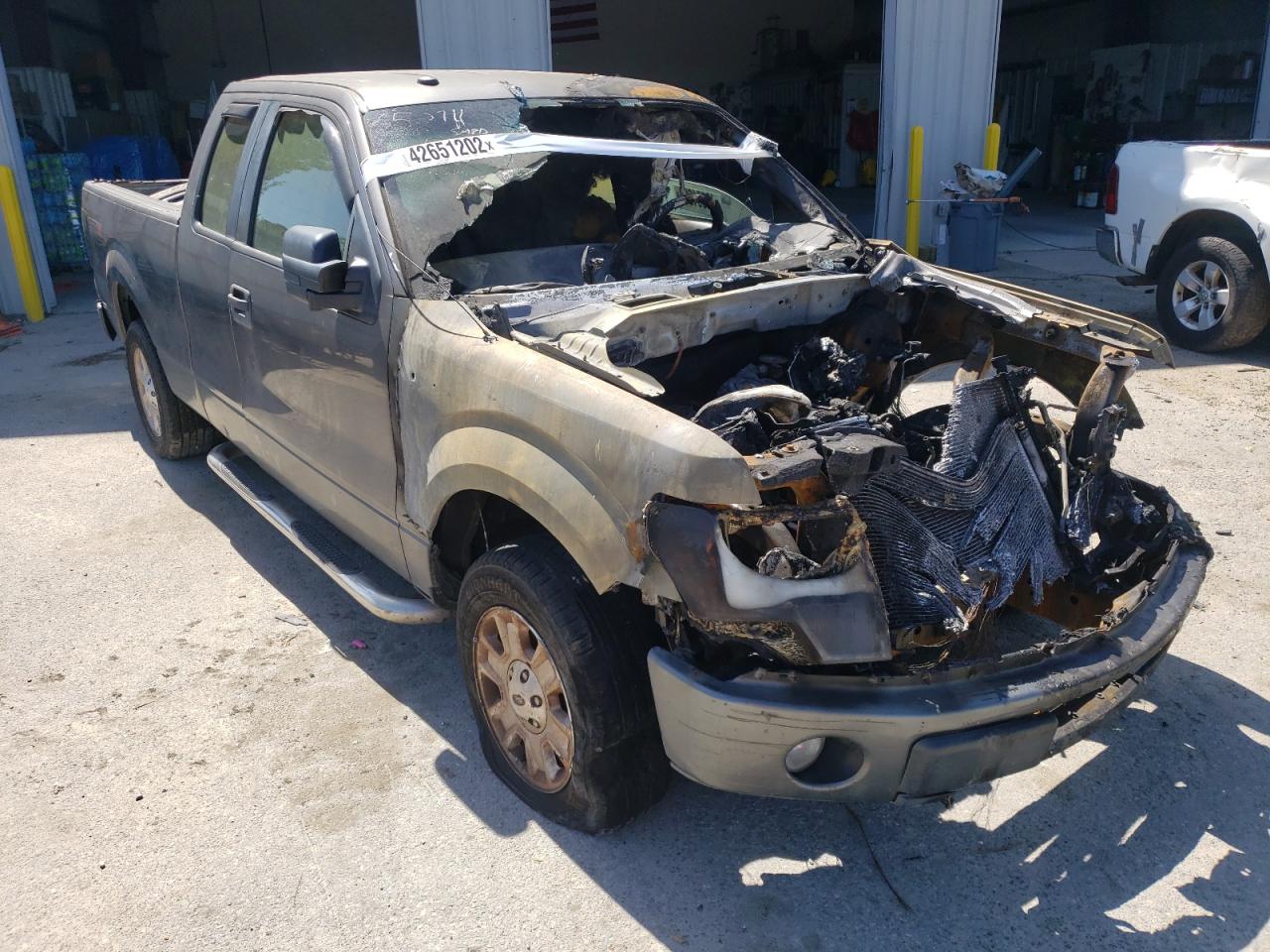 FORD F150 SUPER 2010 with VIN 1FTEX1CW0AFB95491 - Photo from auction