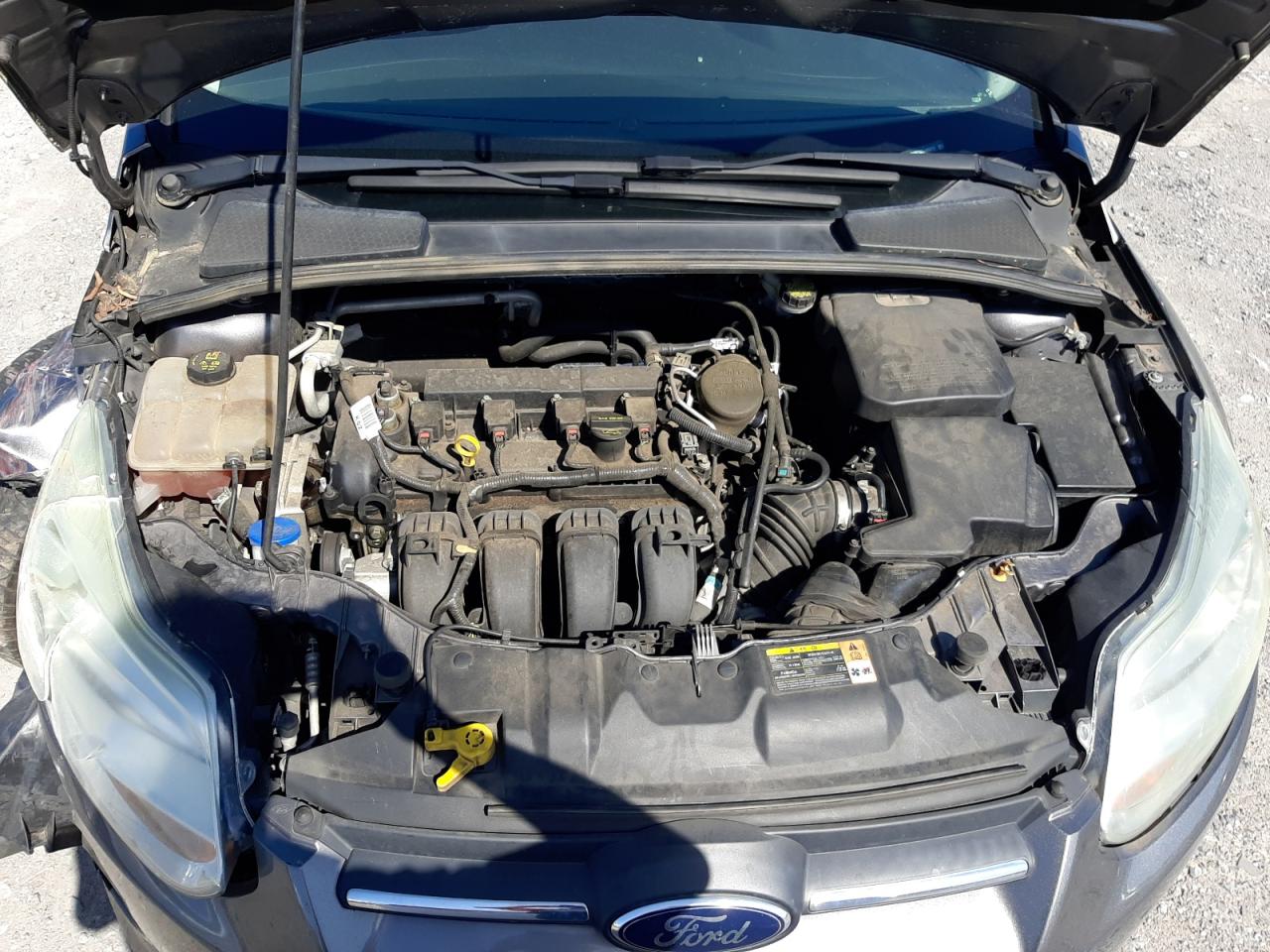 Photo 7 from auction – 2014 FORD FOCUS SE with VIN 1FADP3F28EL166012
