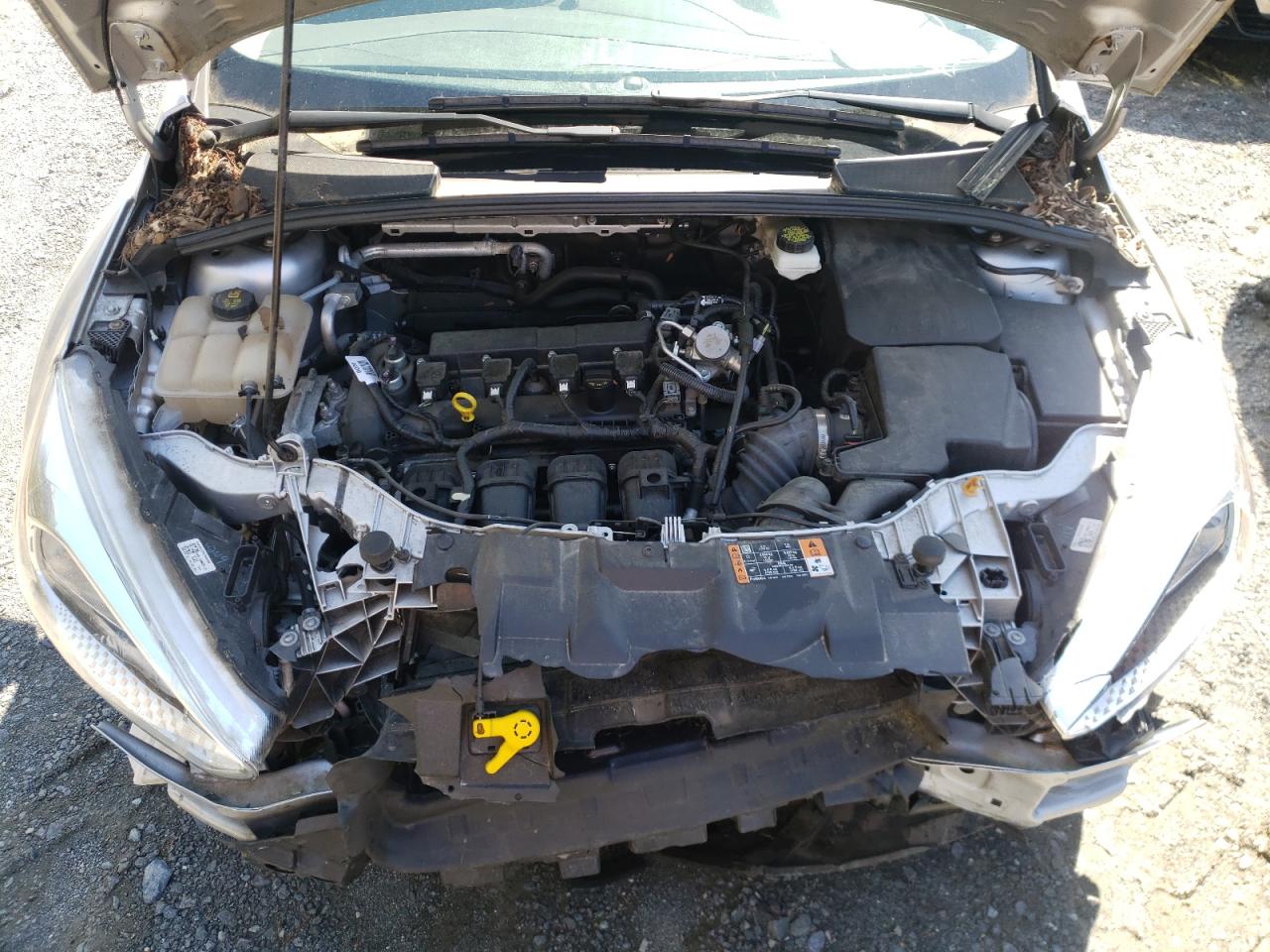 Photo 7 from auction – 2017 FORD FOCUS SE with VIN 1FADP3F29HL309067