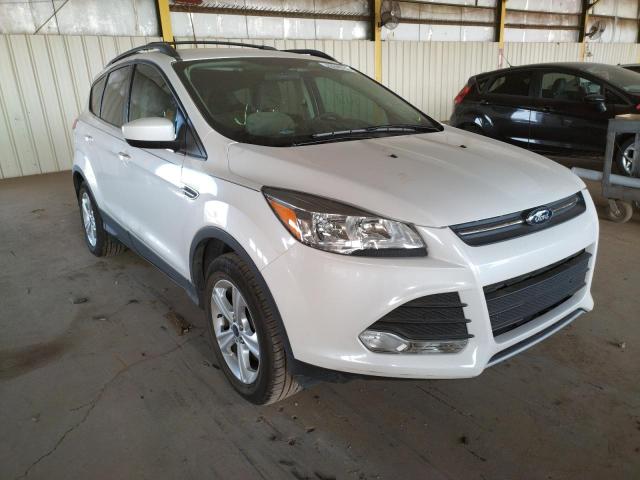 FORD ESCAPE SE 2013 with VIN 1FMCU0G94DUD78094 - Photo from auction