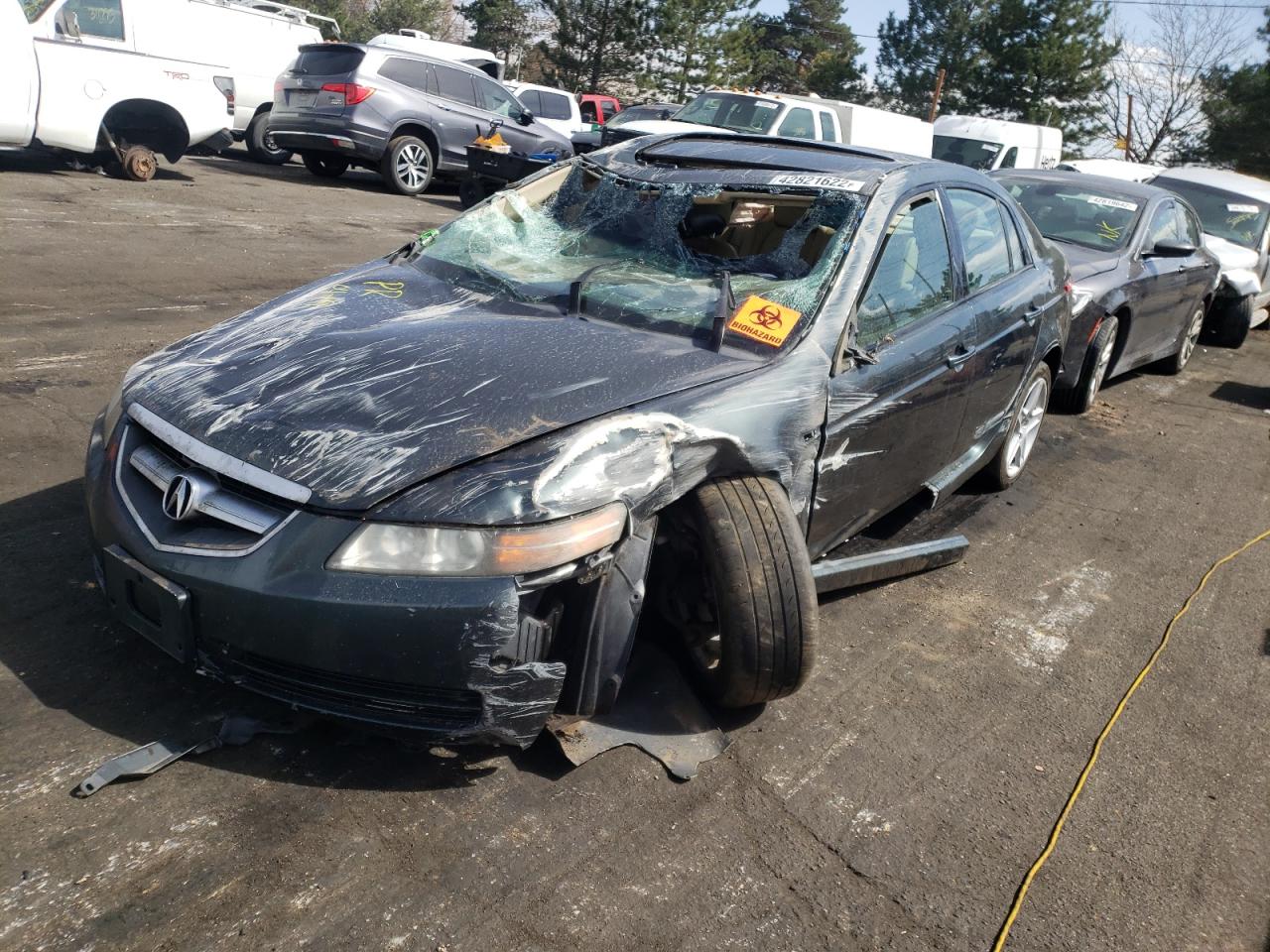 Photo 9 from auction – 2005 ACURA TL with VIN 19UUA66215A045171