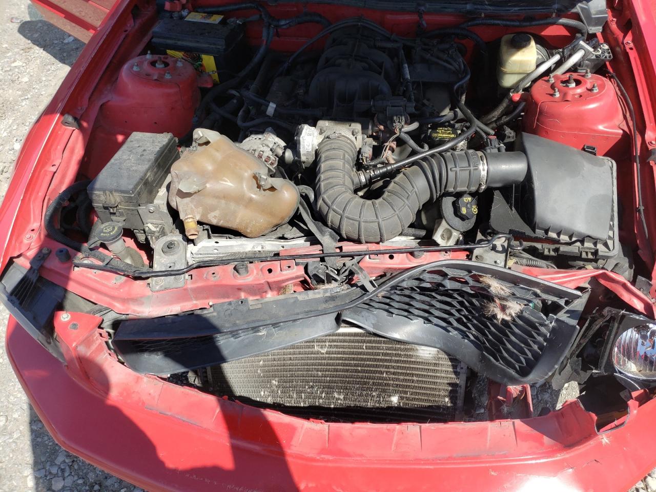 Photo 7 from auction – 2008 FORD MUSTANG with VIN 1ZVHT80N985107239