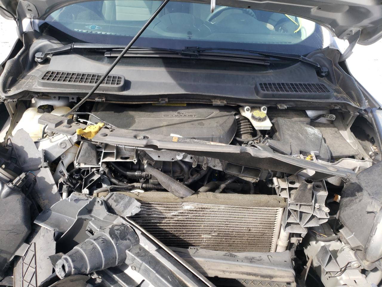 Photo 7 from auction – 2014 FORD ESCAPE SE with VIN 1FMCU0GX5EUA60534